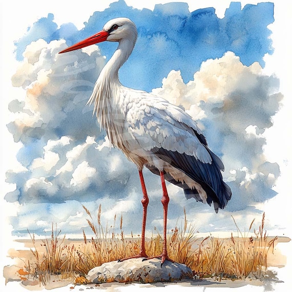 水彩コウノトリのクリップアート：鳥のイラスト、デジタルペーパー