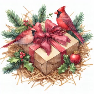Weihnachten Roter Cardinal Clipart, 12 JPG, digitaler Download, Aquarell Clipart, Vogel Clipart, digitales Papierhandwerk, Karte Karten machen