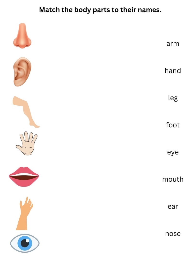 Body Parts Basic Improve Kids Skills Educational Book for Kids Body Parts Basic Improve Kids Skills Educational Book for Kids