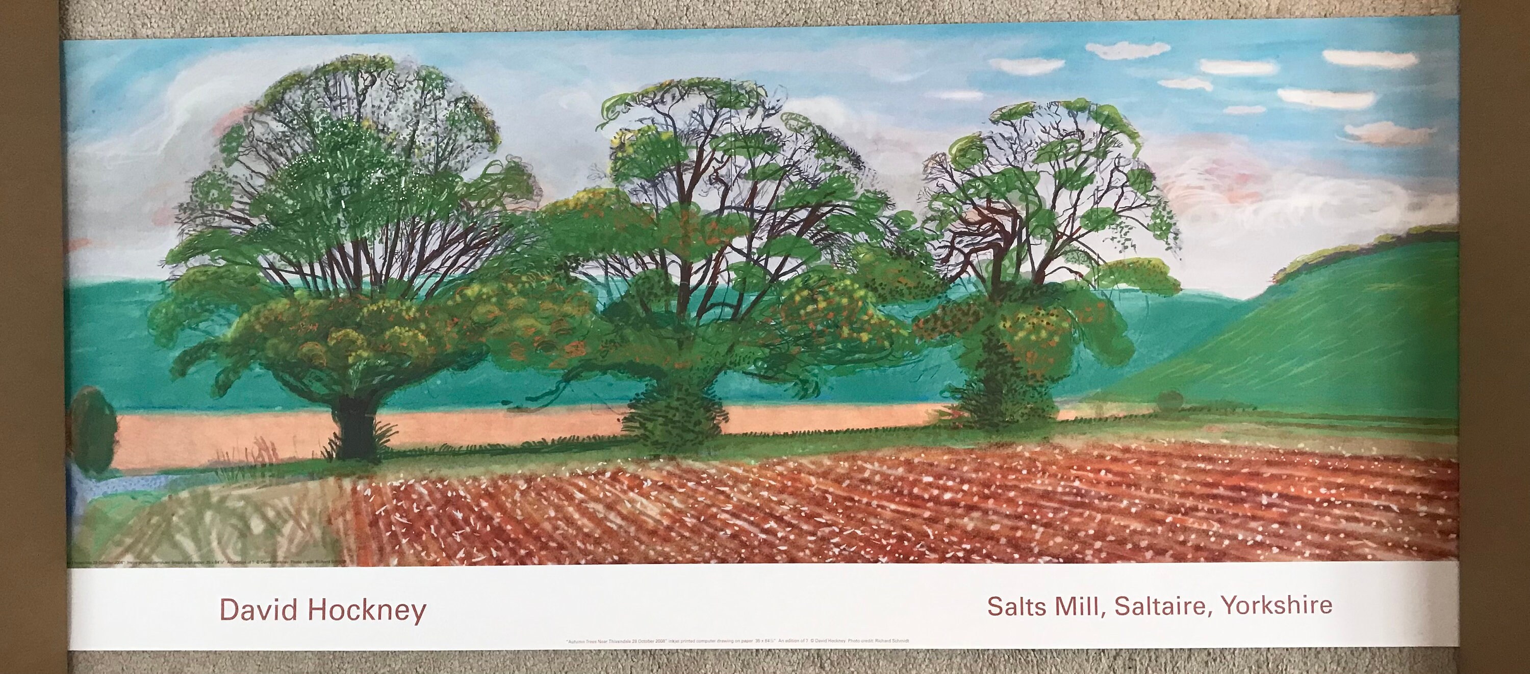 Affiche D'art Contemporain De David Hockney, Toile De Peinture Murale, Images Imprimées Pour Décoration De Maison