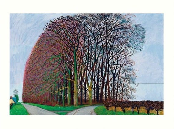 David Hockney Bigger Trees Near Water Print Unframed - Etsy UK