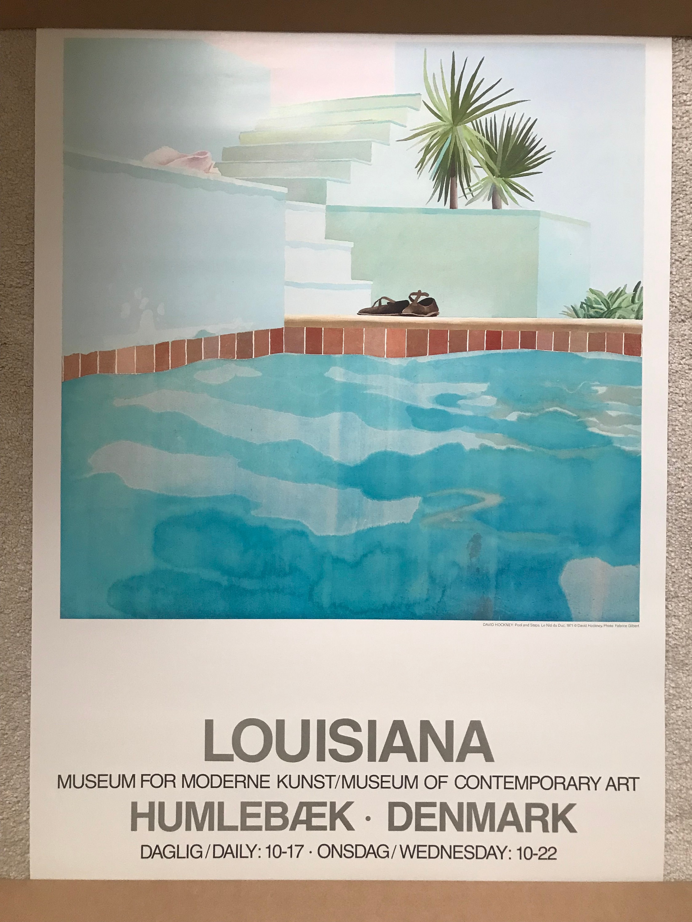 David Hockney Pool and Steps Poster Rare - Etsy