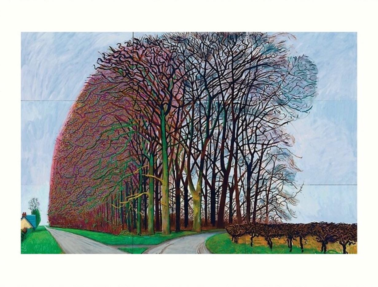 David Hockney Bigger Trees Near Water Print Unframed - Etsy UK