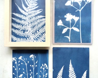 Set van 4 ansichtkaarten met cyanotype | Pruisische blauwdruk | Botanische fotografie | Bloemen en bladeren schilderen |