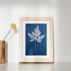 3 Cartoline sulla Natura | Stampa cianotipica | Stampa decorativa | Fotografia botanica | Pittura su foglie | Biglietto d'invito | Stampa botanica
