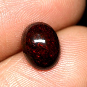 May include: A dark red oval-shaped gemstone with a speckled pattern.