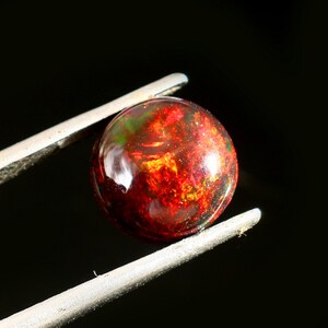 May include: A round, polished opal gemstone with a fiery display of red, orange, and yellow internal colors. The gemstone is held by silver tweezers against a black background, showcasing its vibrant, iridescent qualities.