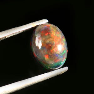 May include: An oval-shaped black opal gemstone held by silver tweezers. The opal displays a vibrant play-of-color with flashes of red, orange, green, and blue. The gemstone is set against a dark background, highlighting its iridescent qualities.