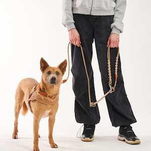 Handmade Adjustable Handsfree Dog Leash