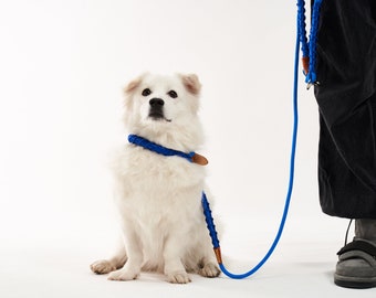 Azure Blue Handsfree Dog Leash: Adjustable and Multifunctional