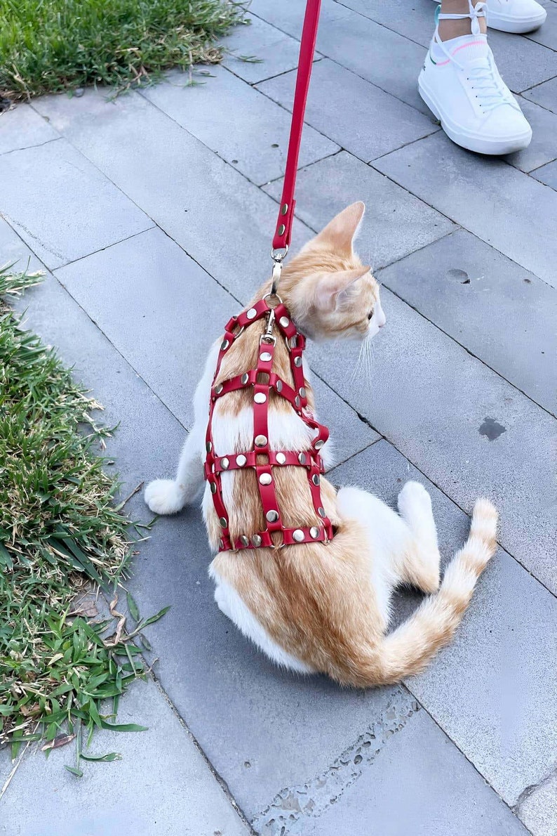 Adjustable Cat Harness escape Proof, Leather Cat Collar, Pet Harness