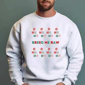 Mens Christmas Sweater, Breed Me Raw Sweater, Breed Me Raw Christmas Shirt, Gay Shirt, Gay Christmas Sweater, Funny Gay Sweater