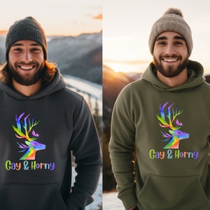 Gay and Horny Hoodie, Sexy Mens Hoodie, Sexy Unisex Hoodie, Gay Pride Hoodie, Funny Gay Gift, Christmas Gift, Joke Gift, Gay Sexy Shirt