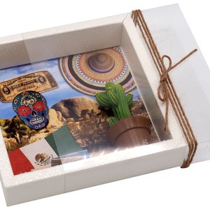 Money gift packaging Mexico vacation trip image 3