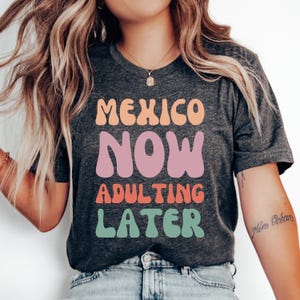 Mexico Now Adulting Later T-Shirt, Honeymoon Shirt, Mexican Shirt, Family Trip, Mexico Gift, Love Mexico Shirt, Mexico Vacation, Mexico Tee