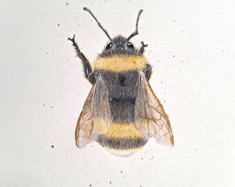 Original Bee Artwork