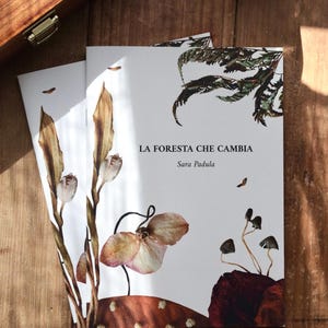 La foresta che cambia - libro illustrato - carta riciclata - filastrocche e illustrazioni originali - Sara Padula