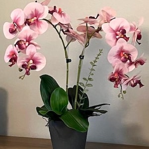 Könnte beinhalten: Ein Arrangement aus künstlichen Orchideen im Topf. Das Arrangement besteht aus mehreren Stielen mit rosa und lila Orchideen und grünen Blättern. Die Blumen stehen in einem dunkelgrauen Topf auf einer Holzoberfläche.
