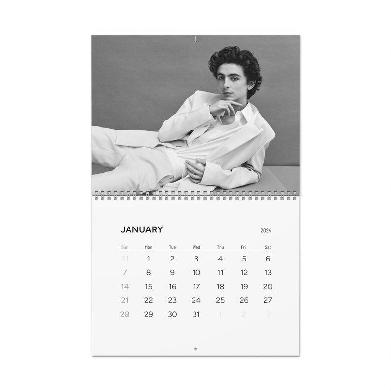 Timothée Chalamet 2024 Calendar Stills From Dune, Wonka, and Call Me by