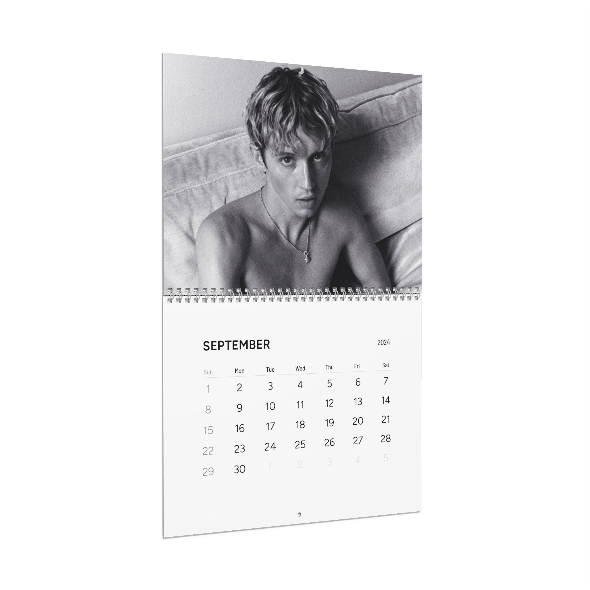 Troye Sivan 2024 Calendar Pop Music Singer, LGBTQ, Blue Neighbourhood