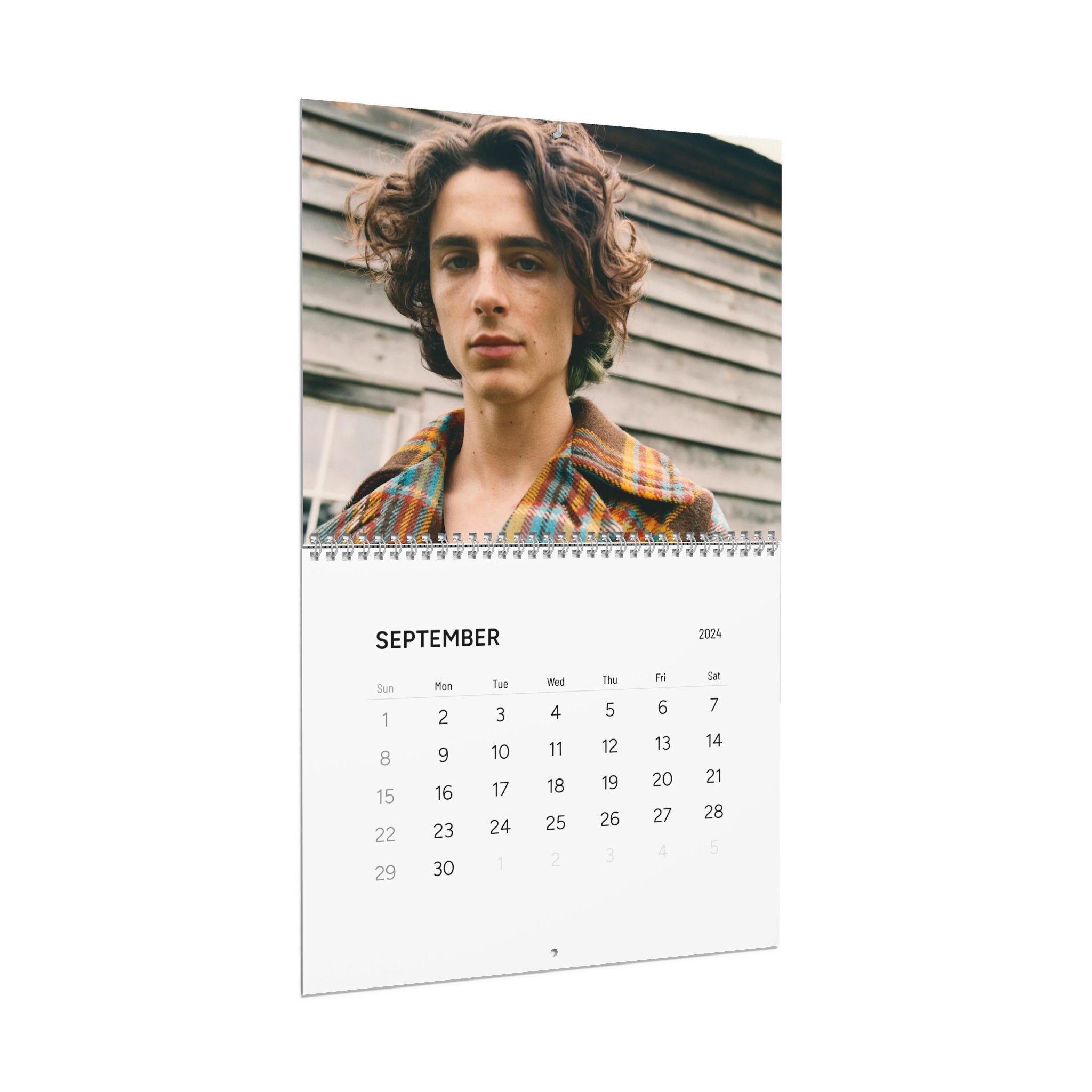Timothe Chalamet 2024 Calendar Stills from Dune, Wonka, and Call Me