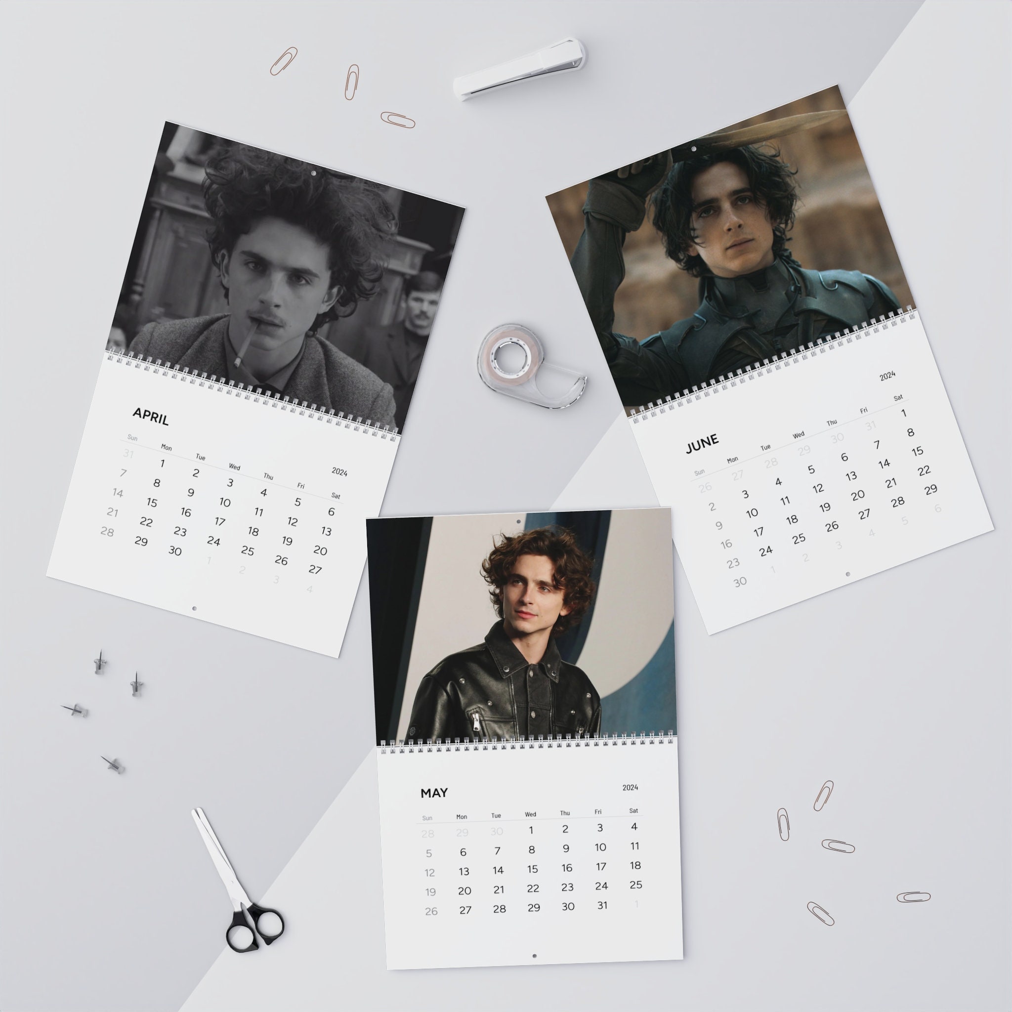 Timothe Chalamet 2024 Calendar Stills from Dune, Wonka, and Call Me