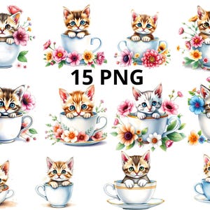 Clipart cat in a cup, Cute cat clipart, Funny cat clipart, Kitten clipart, Kittens clipart, Cute kitten clipart,  Watercolor kitten 15 png
