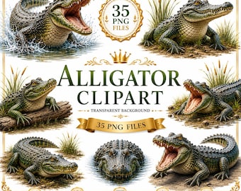 Alligator Clipart: Transparent Background Crocodile Images, 35 PNG Digital Download, Commercial Use