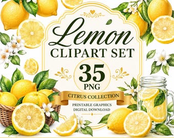 May include: A digital graphic set featuring yellow lemons, green leaves, and white blossoms. The central text reads Lemon CLIPART SET 35 PNG CITRUS COLLECTION PRINTABLE GRAPHICS DIGITAL DOWNLOAD. Includes a basket of lemons and a glass jar.