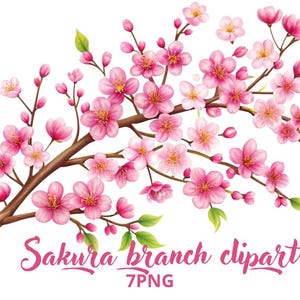 Sakura branch clipart, Flower clipart, Sakura flowers clipart, Cherry clipart, Digital pink flowers,7 PNG images on a transparent background