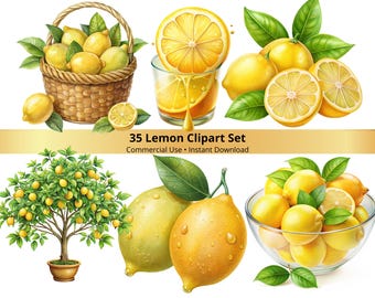 Ensemble de clipart citron, agrumes, citrons png 35, graphiques imprimables, téléchargement numérique