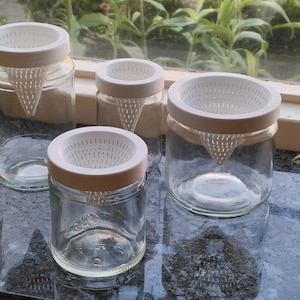 Vaso reutilizable de Vidrio para llevar Café