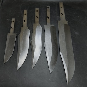 May include: Six different knife blades, numbered 1 through 6, are laid out on a gray surface. The blades are all made of metal and have a dull finish.