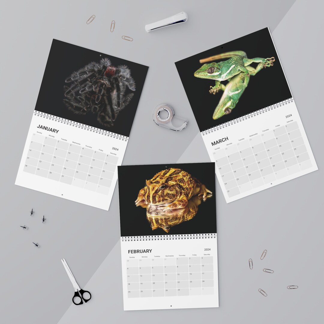 2024 Wall Calendar Animal Calendar Square Planner Decorative Etsy