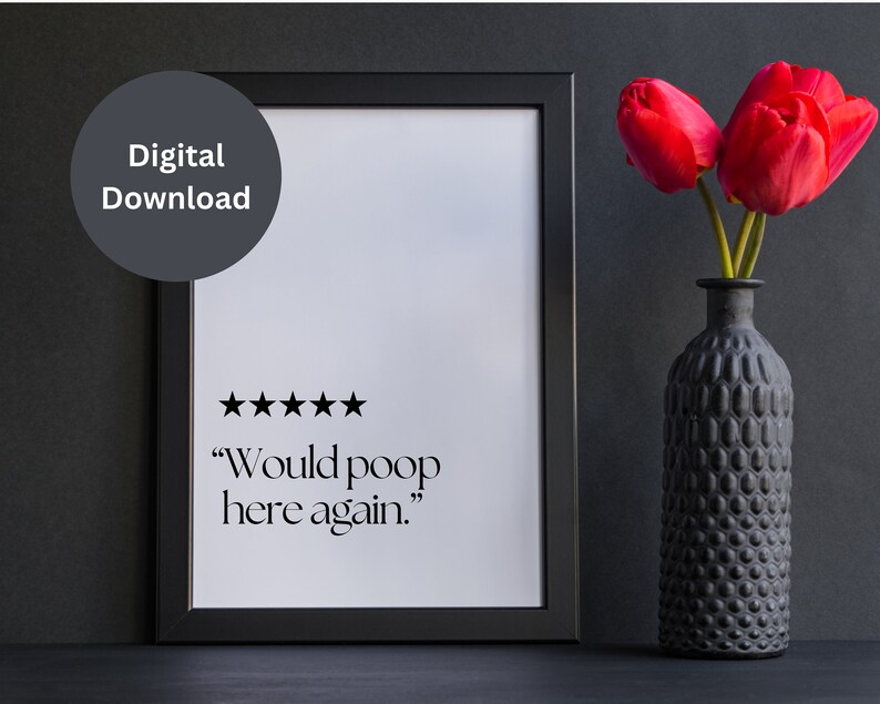 Funny Bathroom Decor, Printable Bathroom Quote, Would Poop Here Again Wall Art, Digital Download Sign, Humorous Wall Print, Farmhouse Poster image 3
