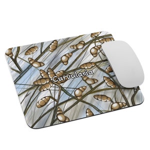 Curvularia species Scotch Tape Prep Lactophenol Blue Mold Mycology Mouse Pad