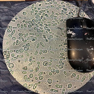 Yeast high power field microscope round mouse pad unique fungus gift for Microbiologist, scientists, professors, medical professionals
