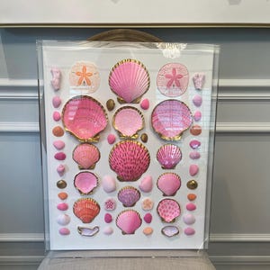 May include: A framed print featuring a collection of pink seashells and starfish. The shells vary in size and shade, with gold accents. The arrangement includes various shapes and textures, creating a coastal theme. The print is displayed in a clear frame.