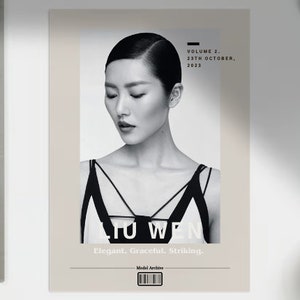 Supermodel Wall Art - Liu Wen