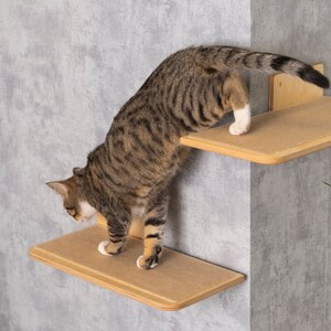 Elegant Cat Wall Shelves to Maximize Vertical Space, Stylish Cat Shelf, Cat Bed, Cat Climbing Platform