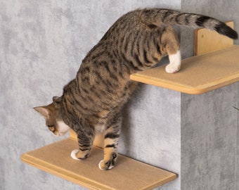 Elegant Cat Wall Shelves to Maximize Vertical Space, Stylish Cat Shelf, Cat Bed, Cat Climbing Platform