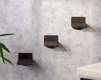 Wall Furniture for Cat. Step& Shelves