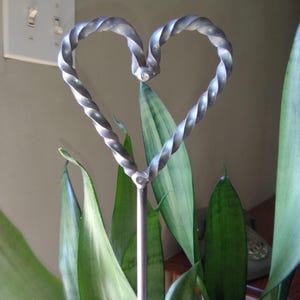 May include: A silver metal heart-shaped garden stake with a twisted design. The stake is placed in a pot with green snake plants. The heart is made of a twisted metal design.