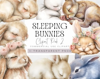Sleeping Bunny Clipart, Cute Rabbit Asleep, Sweet Dreams png, Nursery Graphics, Card Making, Sleeping Animals, Watercolor Baby Shower pngs