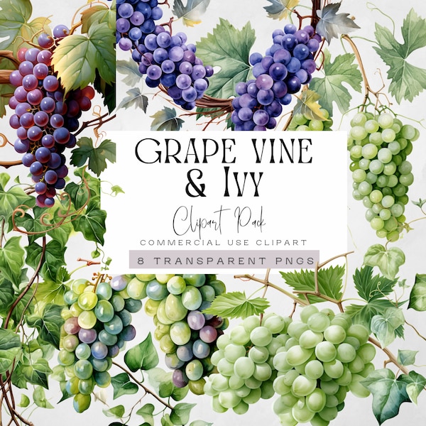 Grapevine Clipart, Vine Graphics, Purple and Green Grapes Clip Art, Ivy Leaves, Wine png, Vineyard Illustrations, Watercolor leaf,