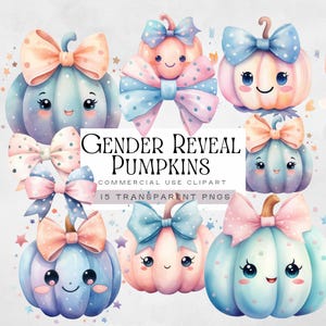 Clipart de revelación de género de calabaza rosa y azul, imágenes de baby shower de Halloween, lindos gráficos de otoño o de otoño para anuncio de niño o niña