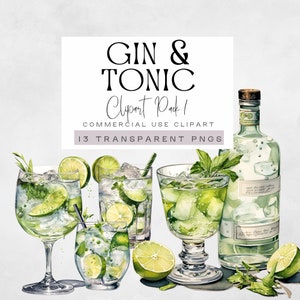 Gin and Tonic Clipart, Bottiglia e bicchiere, Bevanda alcolica, ClipArt di cocktail ad acquerello, Grafica per bere, Insegna del bar per matrimoni,