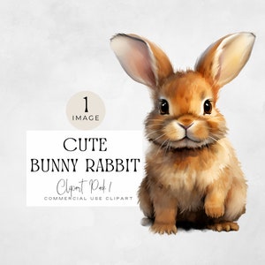 Bunny Clipart Water Color / IMAGEN ÚNICA / Conejos de Pascua de Primavera, Conejitos Lindos, Animal de Granja png, Gráficos de Acuarela, Uso Comercial,