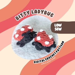 May include: A digital crochet pattern for making a small, low-sew ladybug amigurumi. The pattern is called "Bitty Ladybug" and is from Hook & Haven Studio.