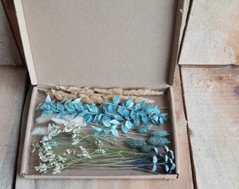 Mix Trockenblumen Box in verschiedenen Farben
